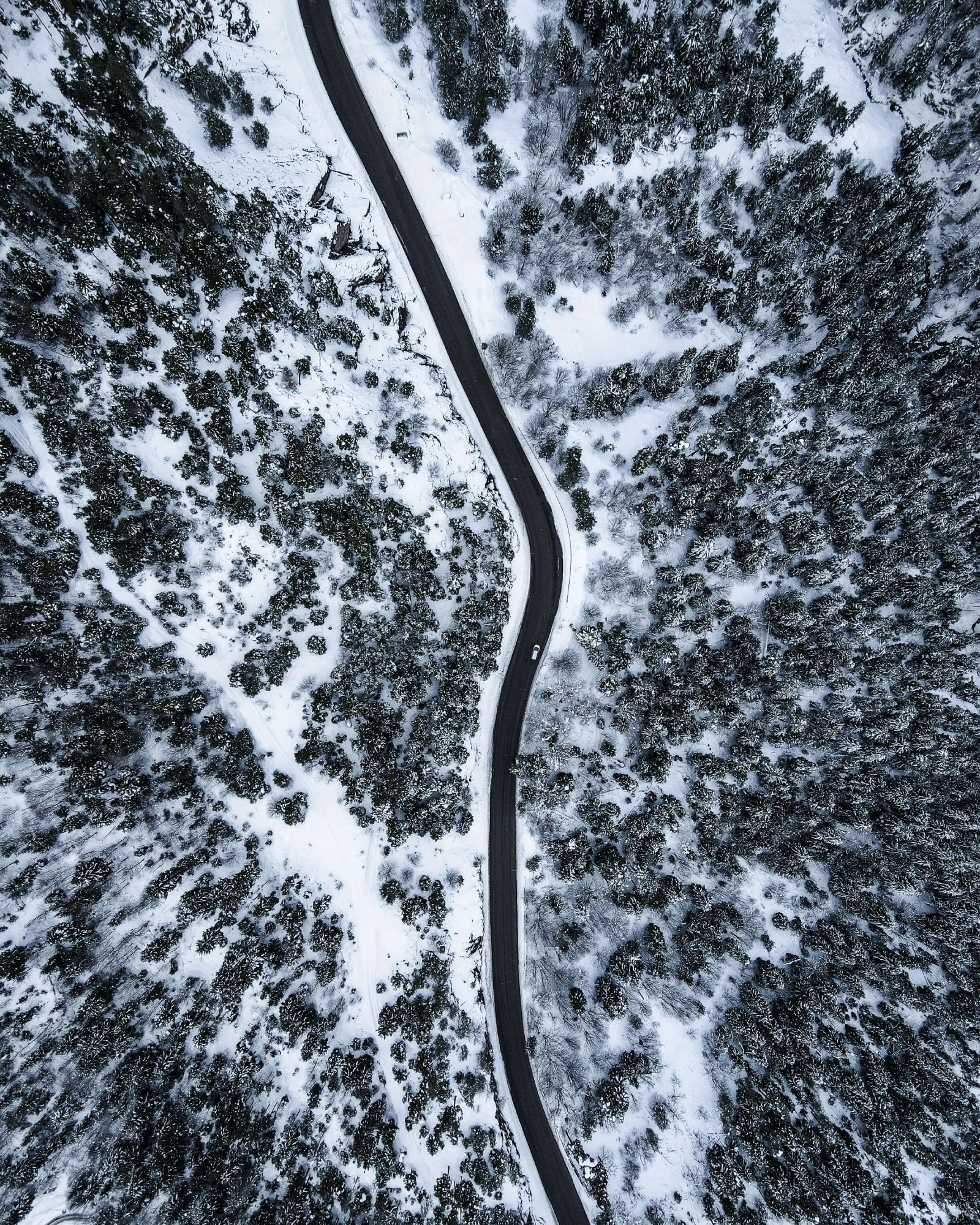Exclusive Winter Tour